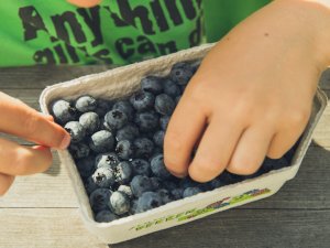 Salud Ecológica: Arandanos.