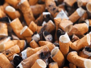 Salud Ecológica contra el tabaco
