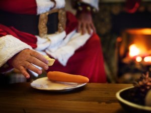 Salud Ecológica: dieta hipocalórica navidaña